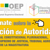 INFÓRMATE SOBRE LA ELECCIÓN DE AUTORIDADES