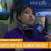 ¿SABES CON QUÉ FRECUENCIA Y QUÉ TIPO DE COMIDA DEBES DARLE A TU MASCOTA SEGÚN SU PESO Y EDAD?