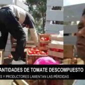 TOMATE SE ECHA A PERDER TRAS BLOQUEOS, SE REGISTRAN PÉRDIDAS DE MÁS DE BS 25 MIL.