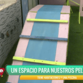 ¡EL PRIMER HOTEL PARA MASCOTAS EN EL ALTO! 🏨🐾