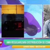 LAS FILAS EN SURTIDORES SE REDUCIRÁN EN 2 O 3 DÍAS, SEGÚN LA ANH