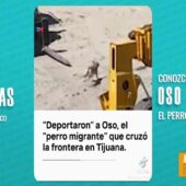 ¡OSO, EL PERRITO VIAJERO! CRUZÓ LA FRONTERA Y FUE DEPORTADO.