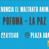 ¡DENUNCIA EL MALTRATO ANIMAL A POFOMA LA PAZ!