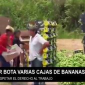 CON LÁGRIMAS EN LOS OJOS, PRODUCTOR BOTA FRUTA SOBRE LA CARRETERA