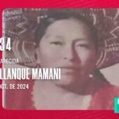 PERSONA DESAPARECIDA: CATALINA LLANQUE MAMANI, 40 AÑOS.