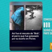 😢🆘 HOMBRE FUE CAPTADO AGREDIENDO A SU PERRO.