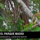 INCENDIO DE MAGNITUD EN EL PARQUE MADIDI ES EN UN LUGAR INACCESIBLE.