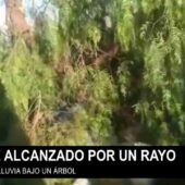 EMPEZÓ A LLOVER, SE CUBRIÓ BAJO UN ÁRBOL JUNTO A SUS OVEJAS Y SU PERRO, TODOS PERDIERON LA VIDA.