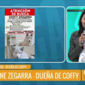 MASCOTA PERDIDA: COFFY