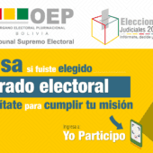 REVISA SI FUSITE ELEGIDO JURADO ELECTORAL