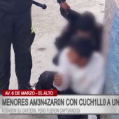Detienen a dos adolescentes tras robar cartera y amenazar a mujer