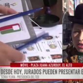 TED detalla las razones válidas para excusarse de ser jurado electoral