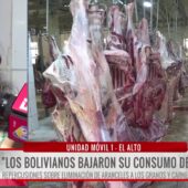 Carniceros bolivianos destacan beneficios de la medida argentina de arancel cero