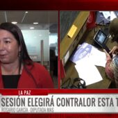 Diputada García afirma que elección de contralor no busca proteger al gobierno