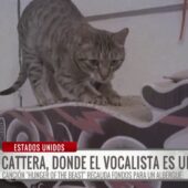 Un gato se convierte en el inesperado vocalista de una banda de rock