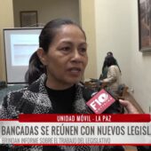 Diputada electa destaca consenso y compromiso común por salvar a Bolivia