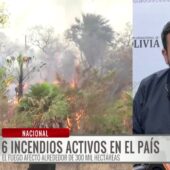 Ministro de Medio Ambiente reporta menos incendios que el año pasado en el país