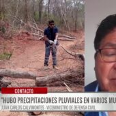 Lluvias apagan completamente los incendios en Bolivia, asegura Defensa Civil