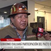 Senador del MAS pide un gobierno para todos los bolivianos y movimientos sociales