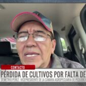 Falta de combustible y ríos desbordados amenazan cultivos, alerta la Cámara Agropecuaria