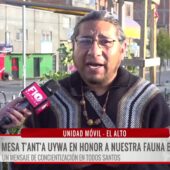 En El Alto, homenajearán a los animales fallecidos en Todos Santos con T’ant’a Uywa