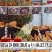Animalitos víctimas de incendios serán homenajeados con mesas en Todos Santos en El Alto