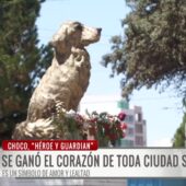 Ciudad Satélite recuerda a Choco, el guardián de la zona