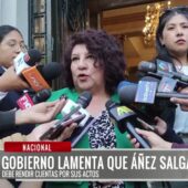 El Gobierno cuestiona la decisión judicial que libera a Jeanine Añez