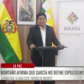 Ministro de Obras asegura que el presidente del MAS no decide la expulsión de Luis Arce