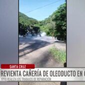 YPFB interviene tras la ruptura de un oleoducto causada por un árbol en Cuevas