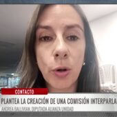 Diputada propone comisión especial para investigar presunto desfalco de 15 mil millones de dólares en la gestión anterior