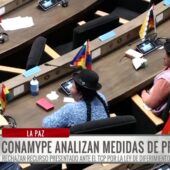 Conamype Bolivia analiza movilizaciones tras rechazo del TCP al recurso sobre Ley de Diferimiento de créditos