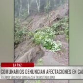 Derrumbe deja intransitable el camino de El Palmar por dos semanas