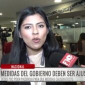 Diputadas piden ajustes a las medidas del Gobierno para estabilizar precios de la canasta familiar