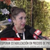 Diputadas y senadoras exigen acciones del Gobierno ante aumento de costos de la canasta familiar